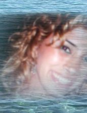 hani2006